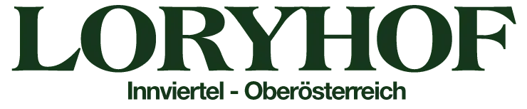 DJ Summerice Weihnachtsfeier Loryhof